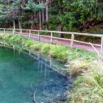 Nel Gran Bosco di Salbetrand (foto A. Corrà)